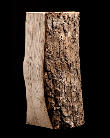 40 Säcke trockenes Holz – 100 % Esche – 8 kg